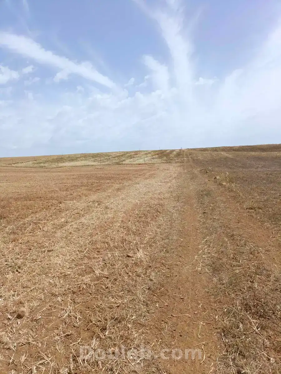 Av terrain de 4900m à hammamet sud - Miniature 2