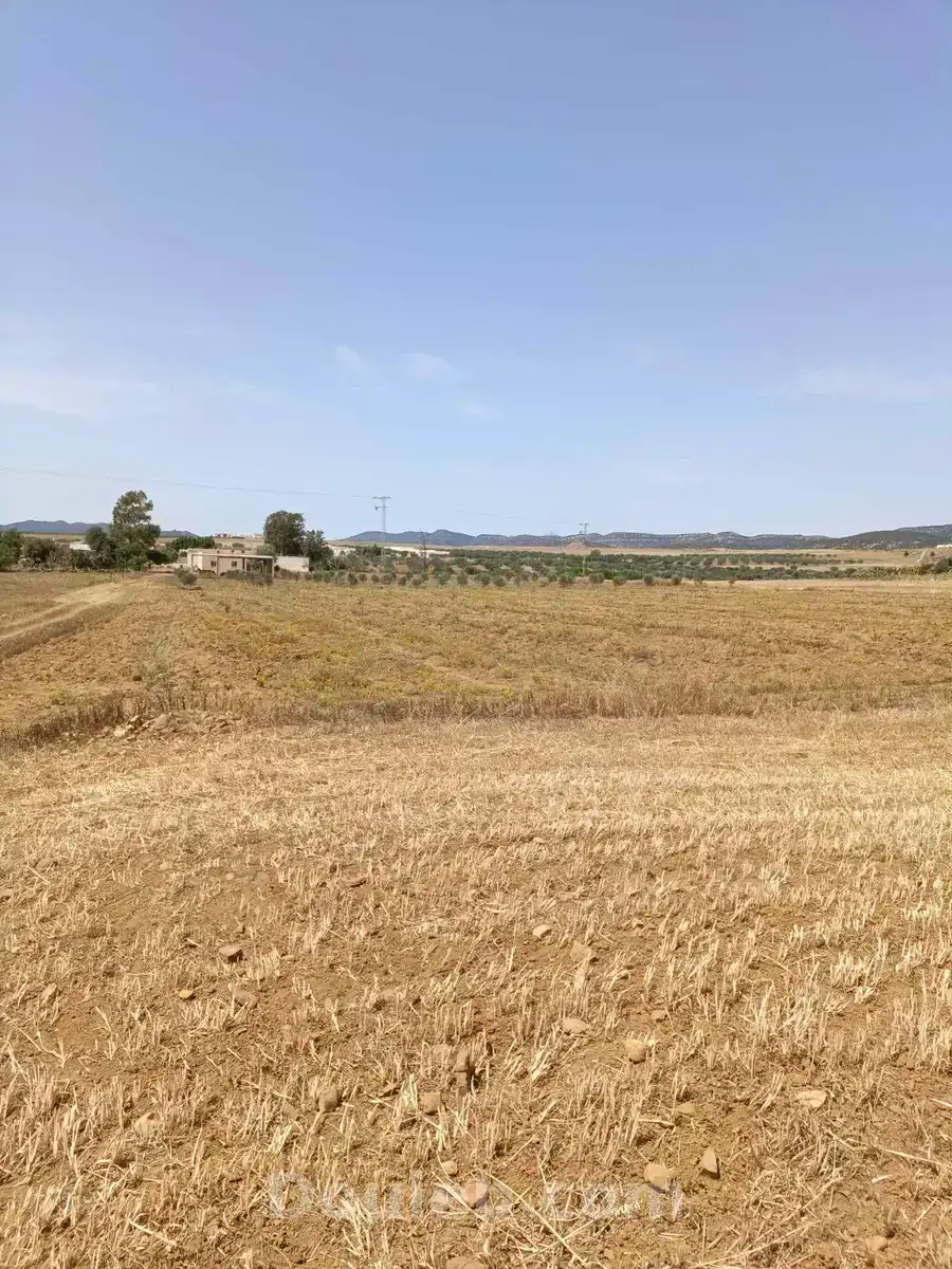 Av terrain de 4900m à hammamet sud - Miniature 4