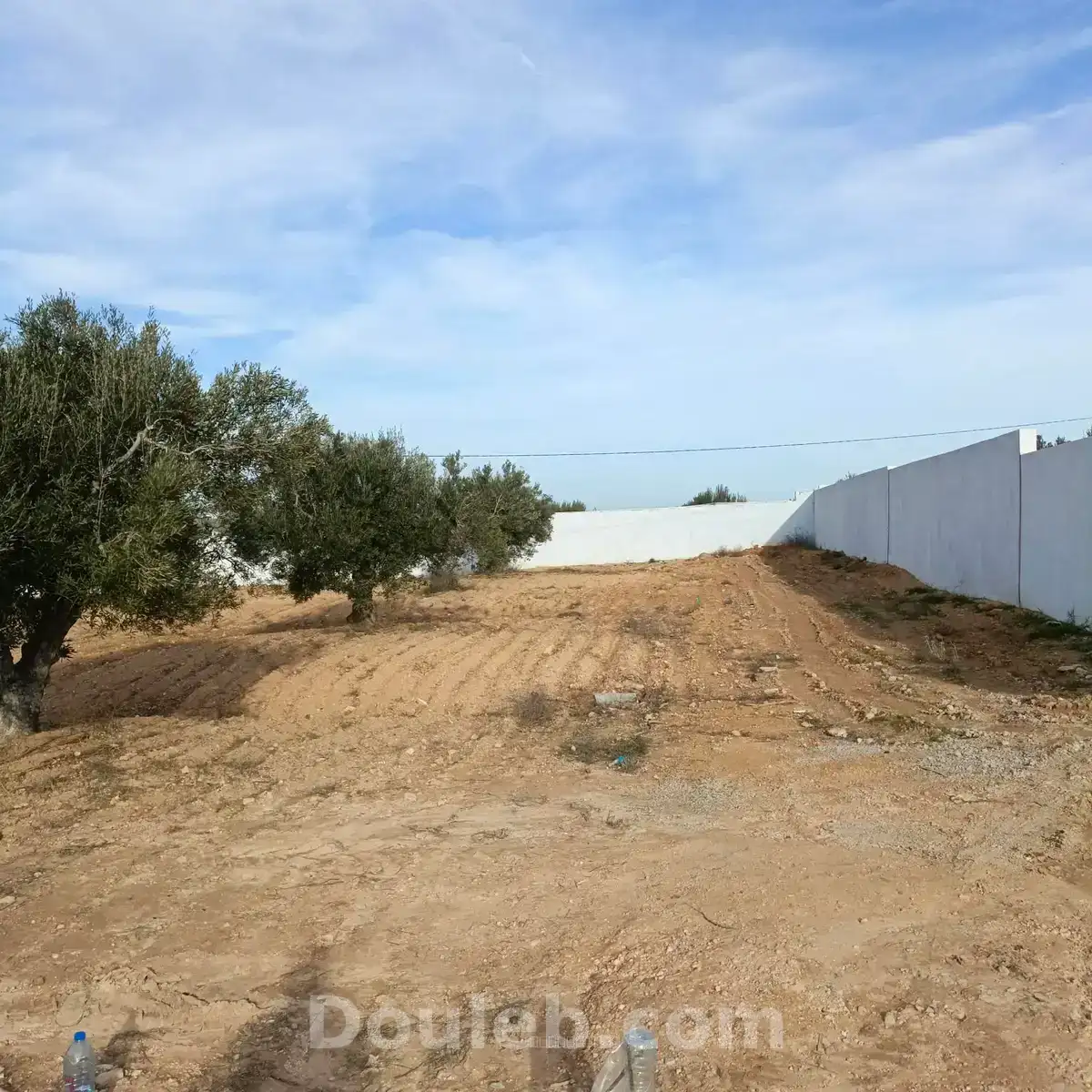 Av beau terrain de 600m proche hammamet yasmine - Miniature 2