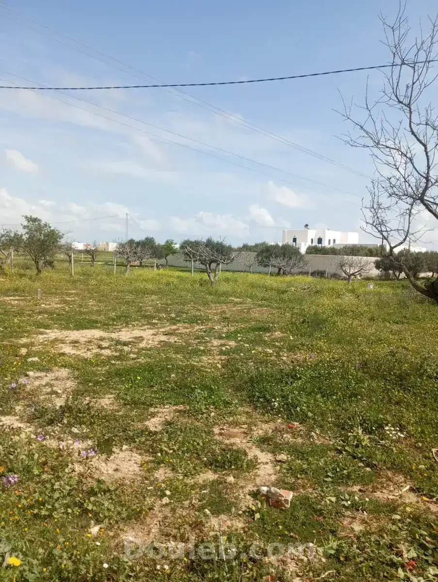 Av terrain 250m proche de la mer à hamammet - Miniature 3