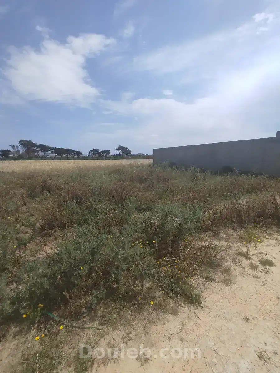 Terrain dar allouche - Photo 1