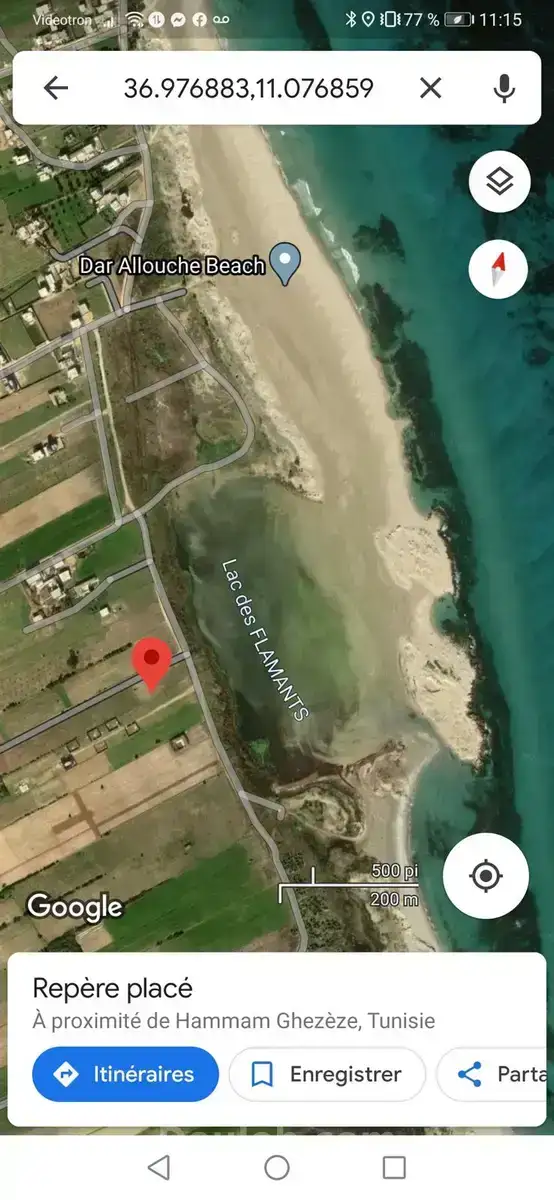 Terrain dar allouche - Miniature 3