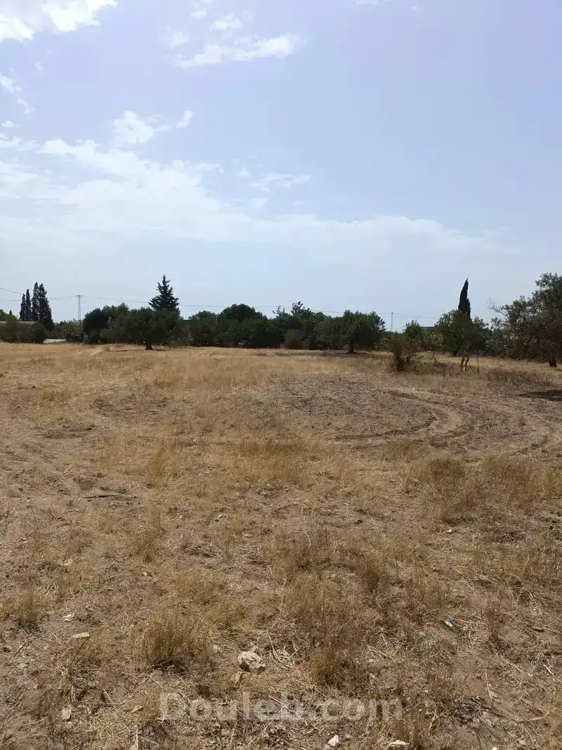 Av terrain 2100m à sidi mtire - Miniature 3