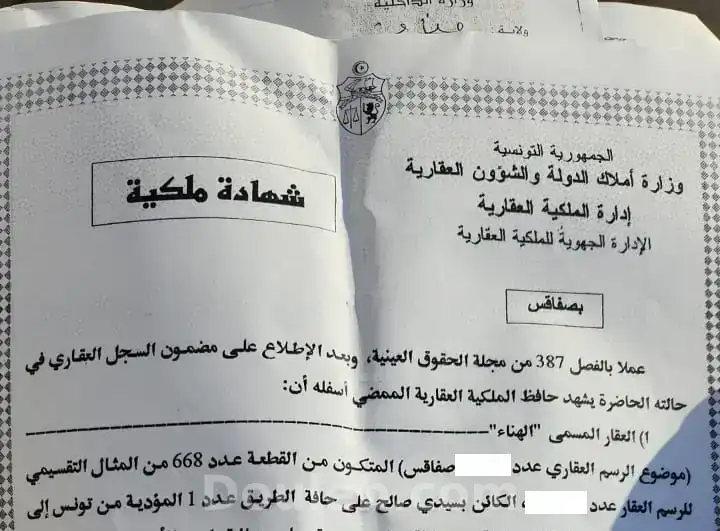 Sfax sakiet ezzit vn ter 5595m2 - Miniature 3