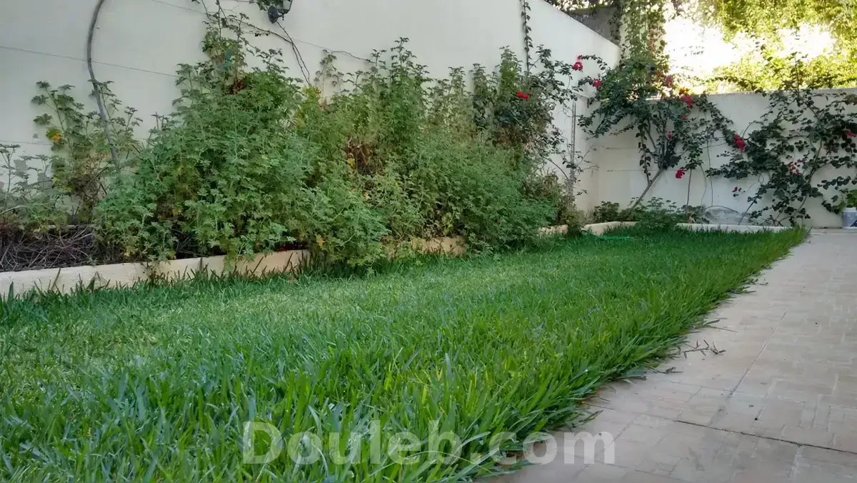 Espace haut standing avec jardin privatif 100m2 - Miniature 2