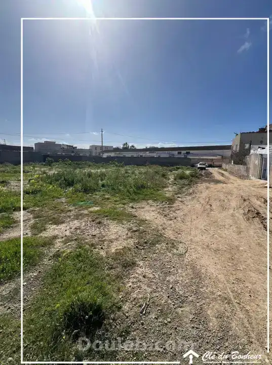 Terrain à sidi salah - Miniature 3