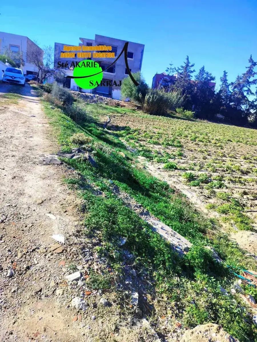 Terrain titré 1094m vue de mer à tantana - Miniature 3