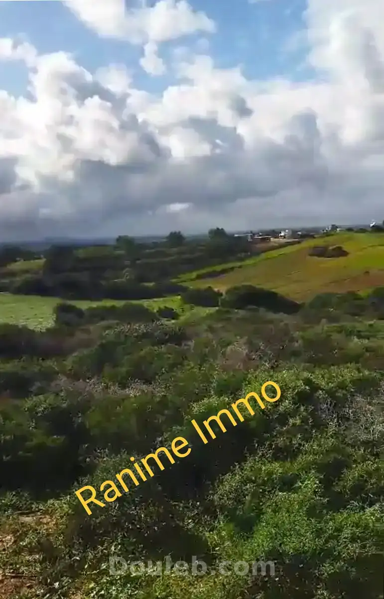 Terrain de 3740m2 a la plage el haouaria - Miniature 2