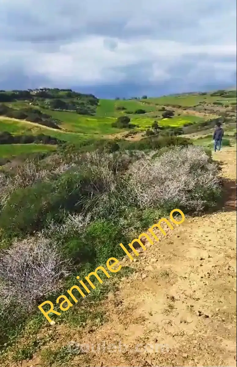 Terrain de 3740m2 a la plage el haouaria - Miniature 3