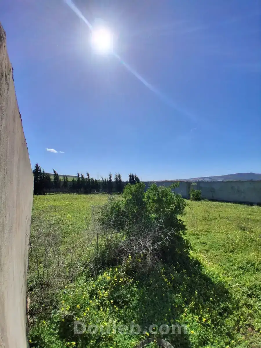 Terrain cloturé de 904m à sidi younes - Miniature 5