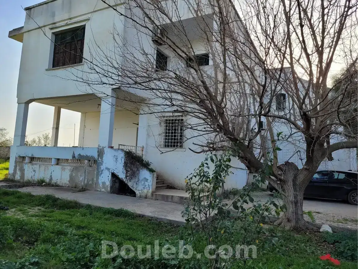 Senia clotures - Photo 1