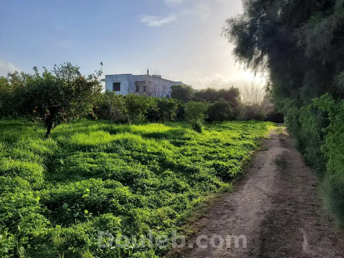 Senia clotures - Miniature 2