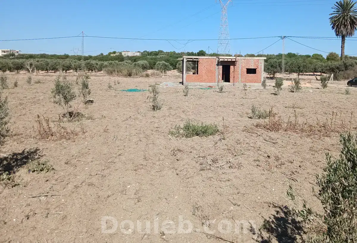 Terrain agricole 5000 m avec une petite maison - Miniature 3