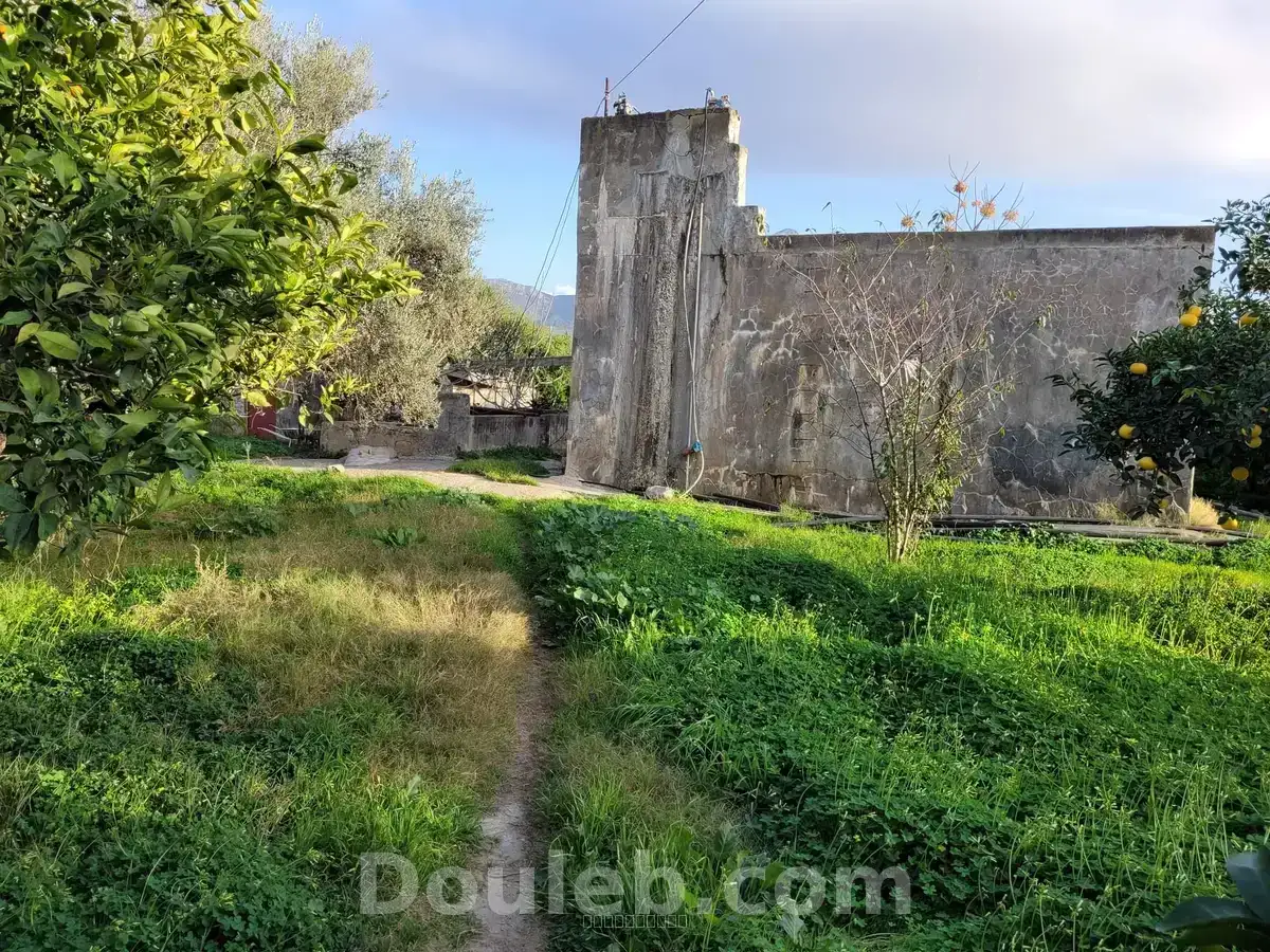 Senia clotures - Miniature 3