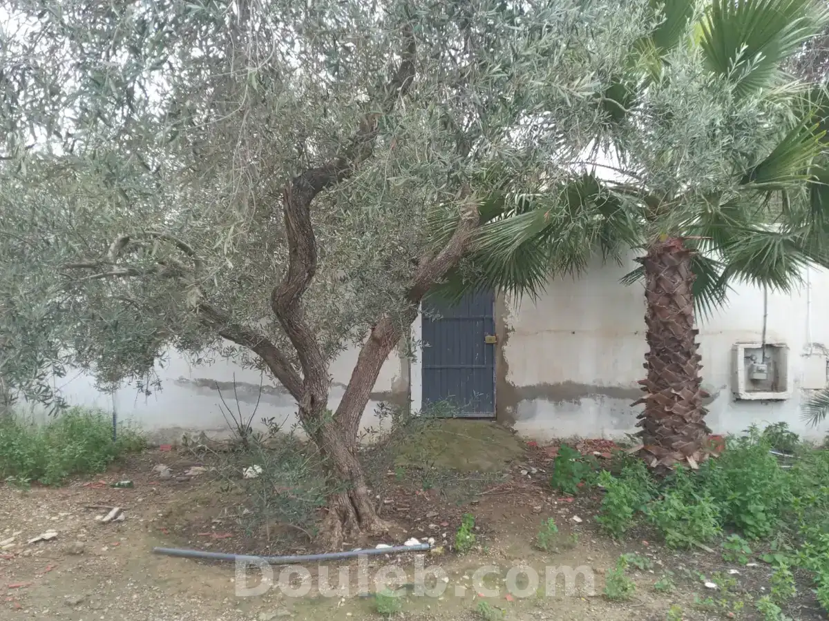 La soukra vnt ter viabilisé - Miniature 2