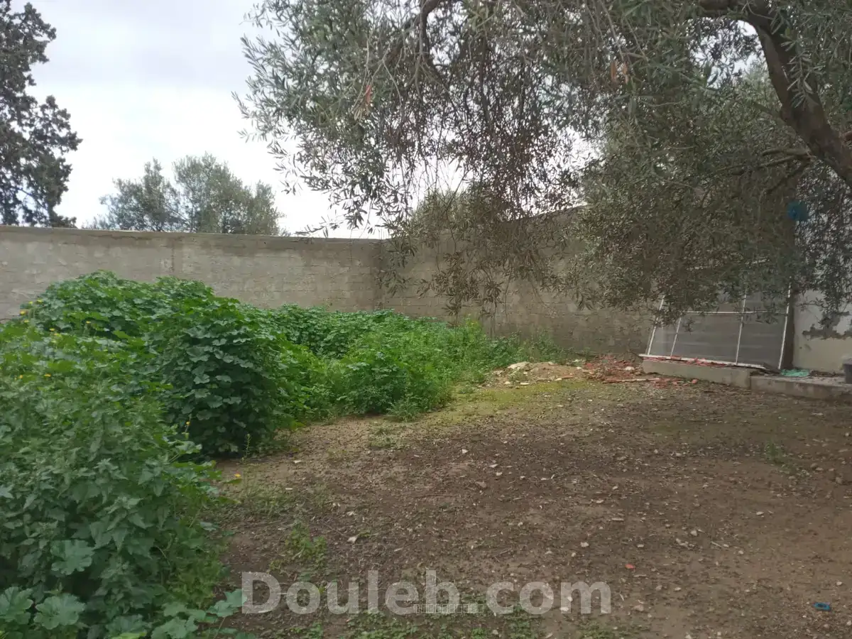 La soukra vnt ter viabilisé - Miniature 3