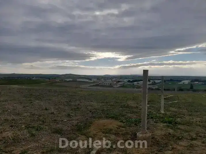 Terrain magnifique - Miniature 3