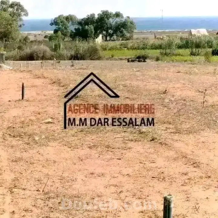 Lotissement près de la mer dar allouch - Miniature 3