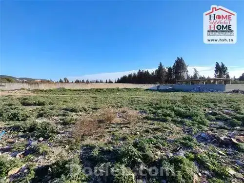 Terrain lavandula à boumhal - Miniature 3