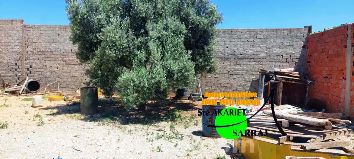 Terrain agricole clôturé 1000m à kalaa kebira - Miniature 2