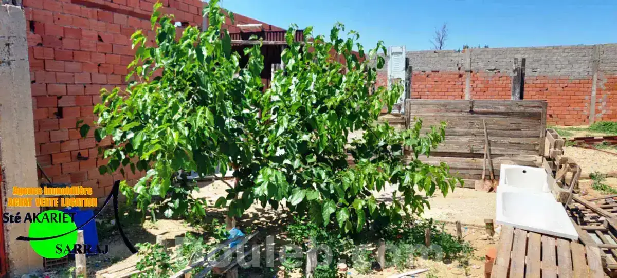 Terrain agricole clôturé 1000m à kalaa kebira - Miniature 3