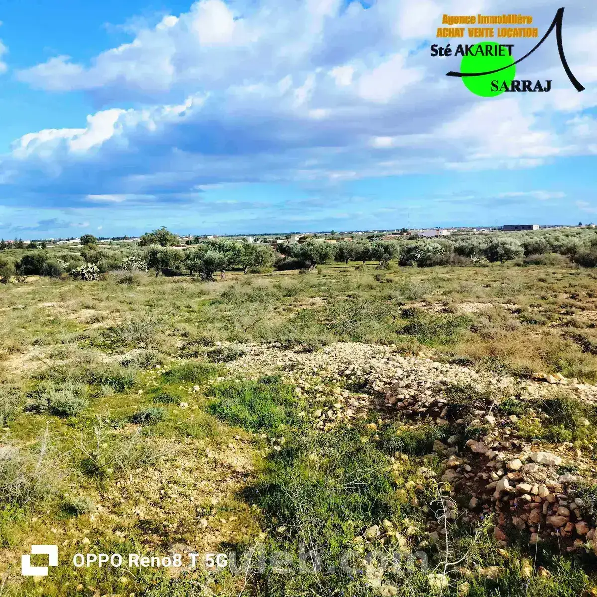 Terrain agricole 1hectare et 8000m à sidi bouali - Miniature 5