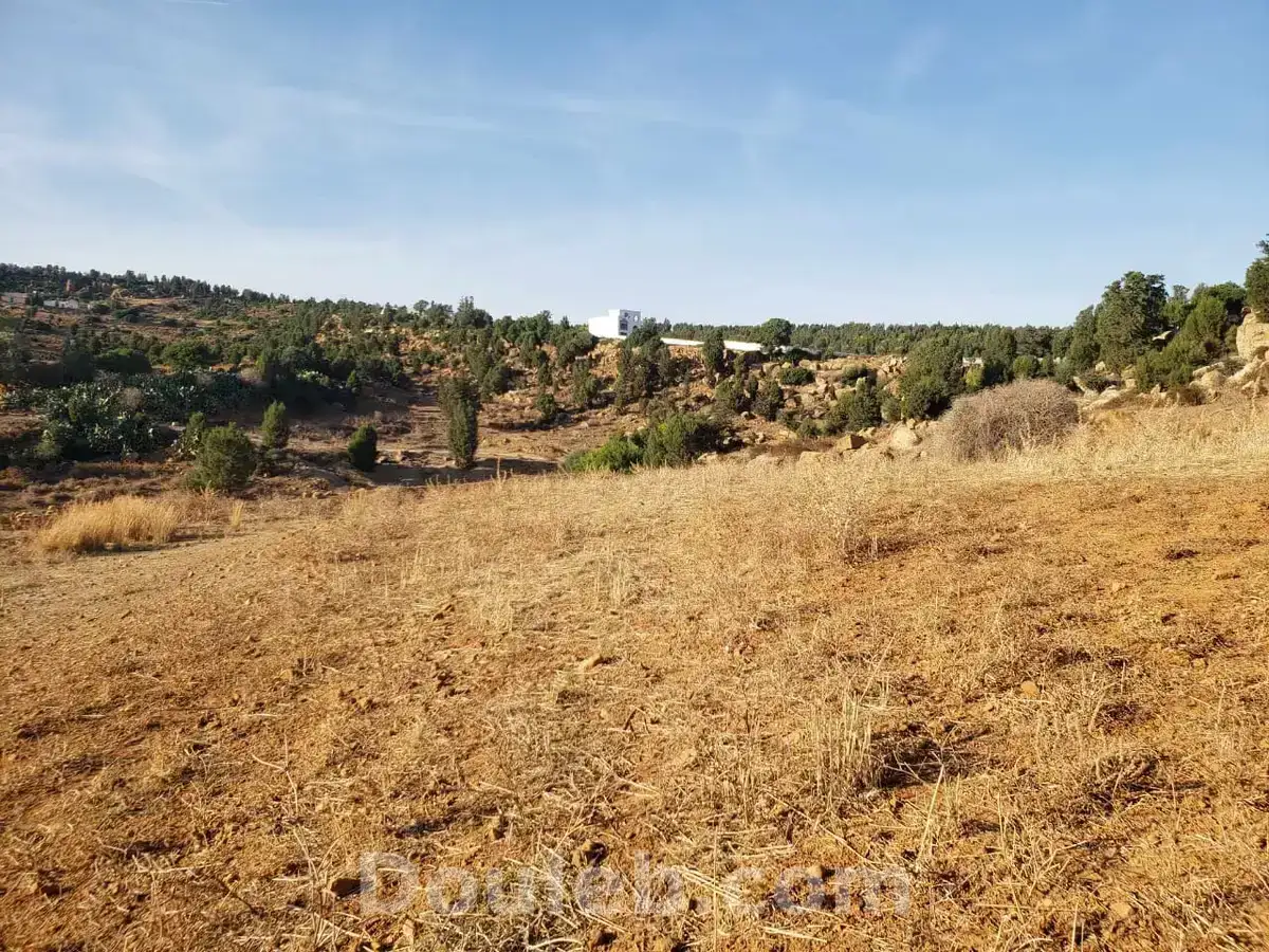 Av terrain 1300m avec vue dégagé proche hammamet - Miniature 2