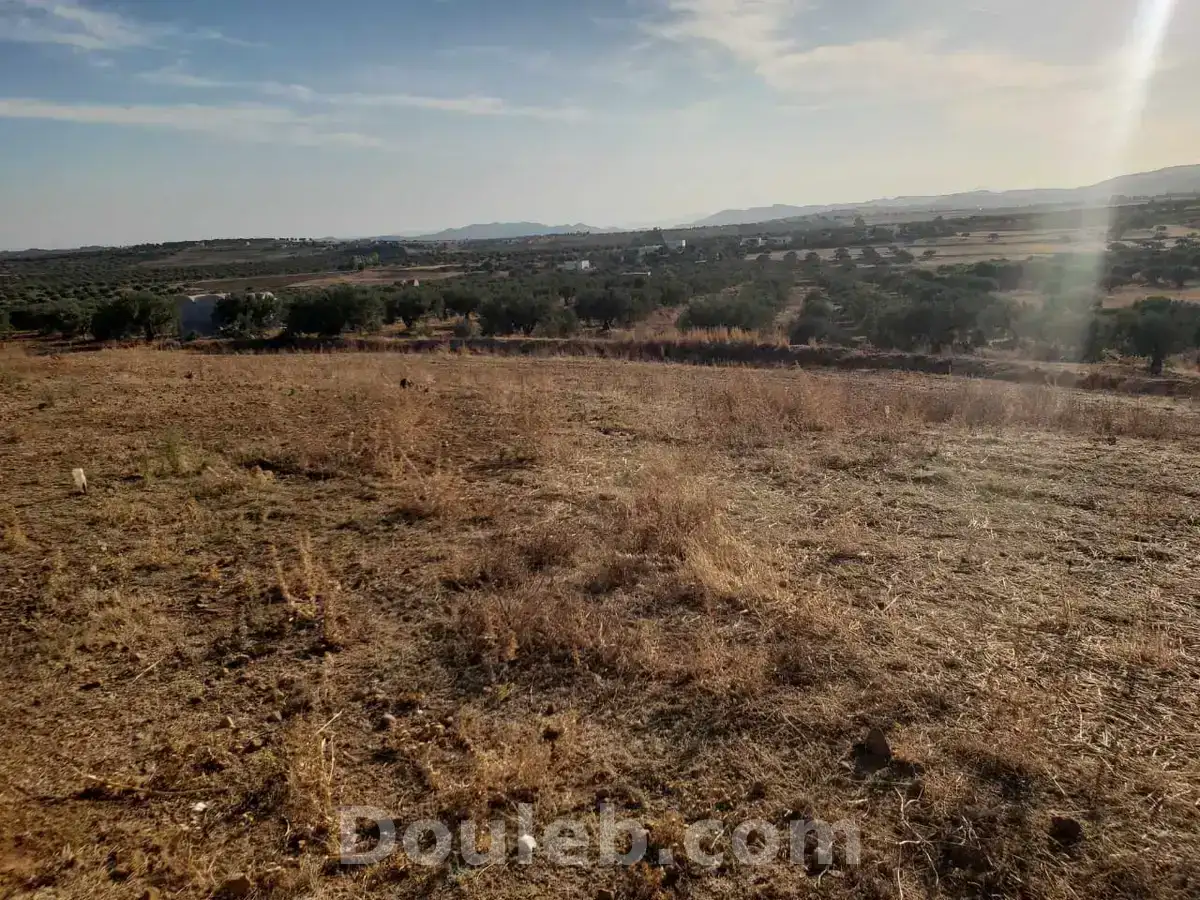 Av terrain 1300m avec vue dégagé proche hammamet - Miniature 3
