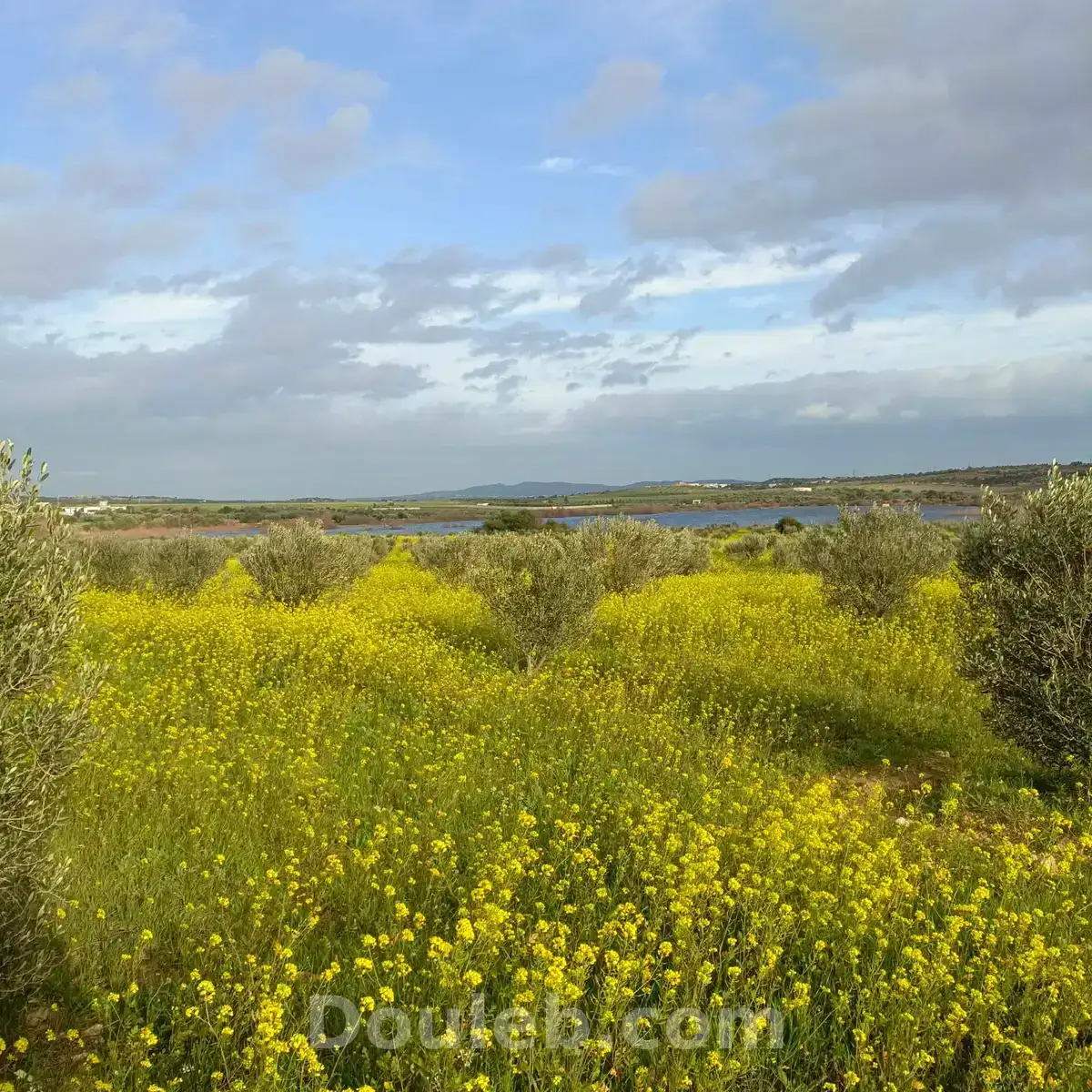 Av de 1000m a 3000m à monchar - Miniature 2