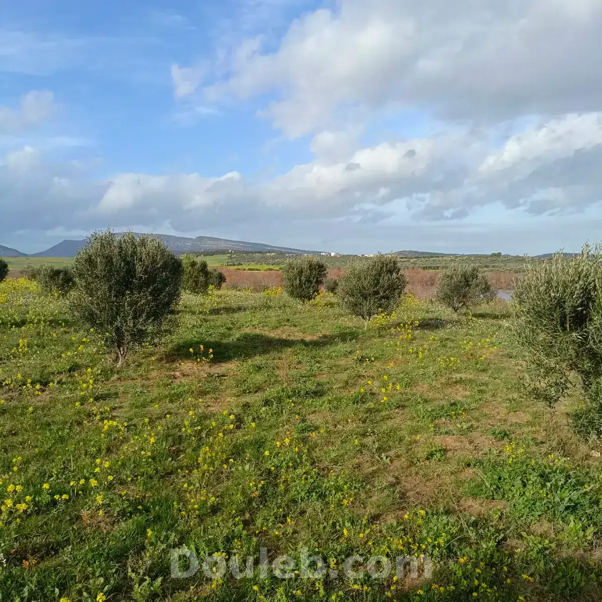 Av de 1000m a 3000m à monchar - Miniature 3