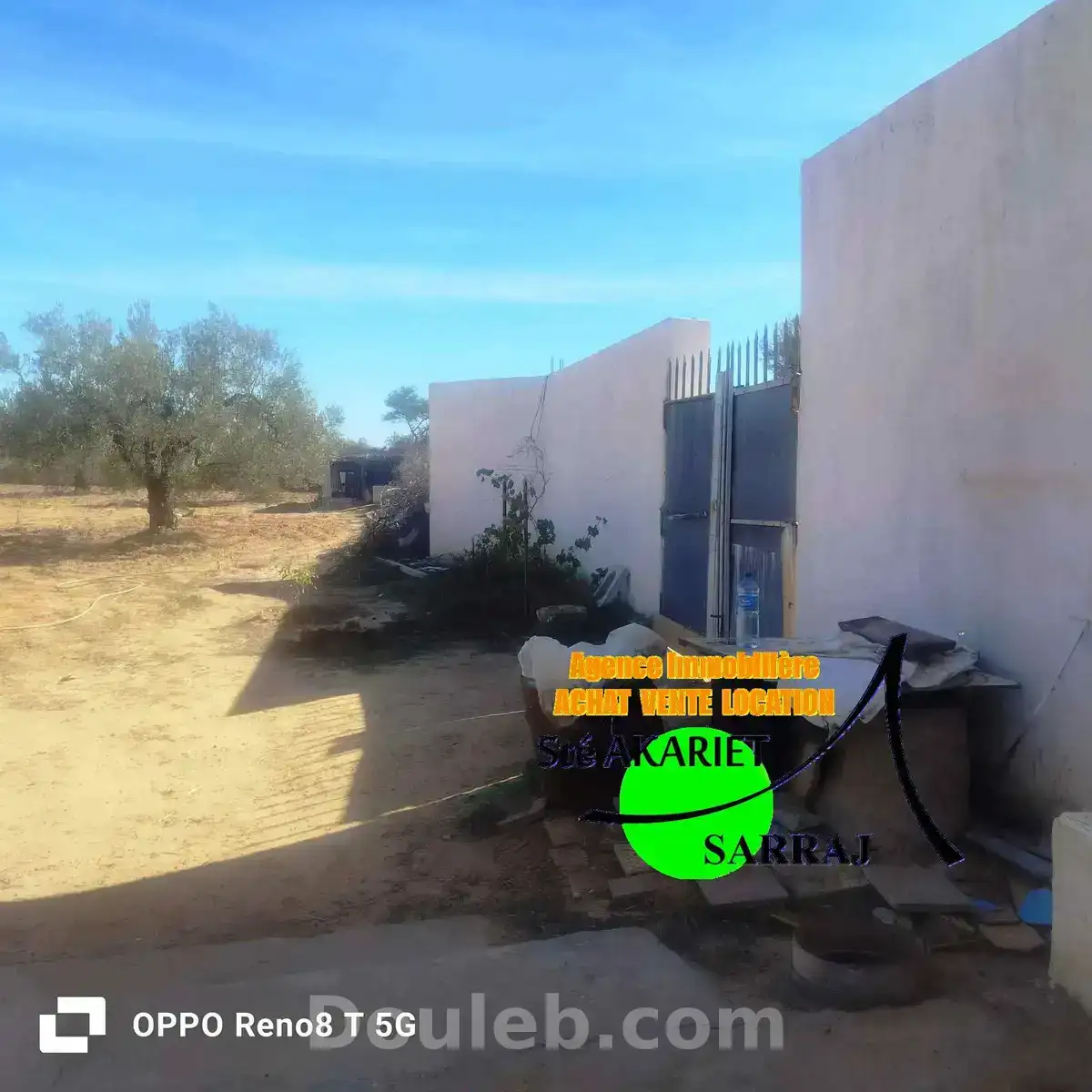 Senia clôturé 3300m à kalaa sghira oued laya - Miniature 3