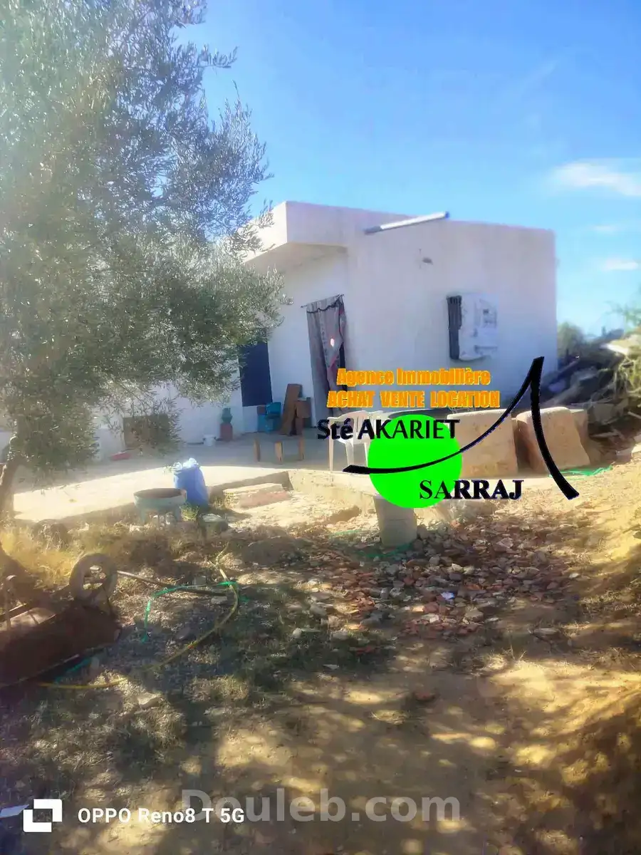 Senia clôturé 3300m à kalaa sghira oued laya - Miniature 4