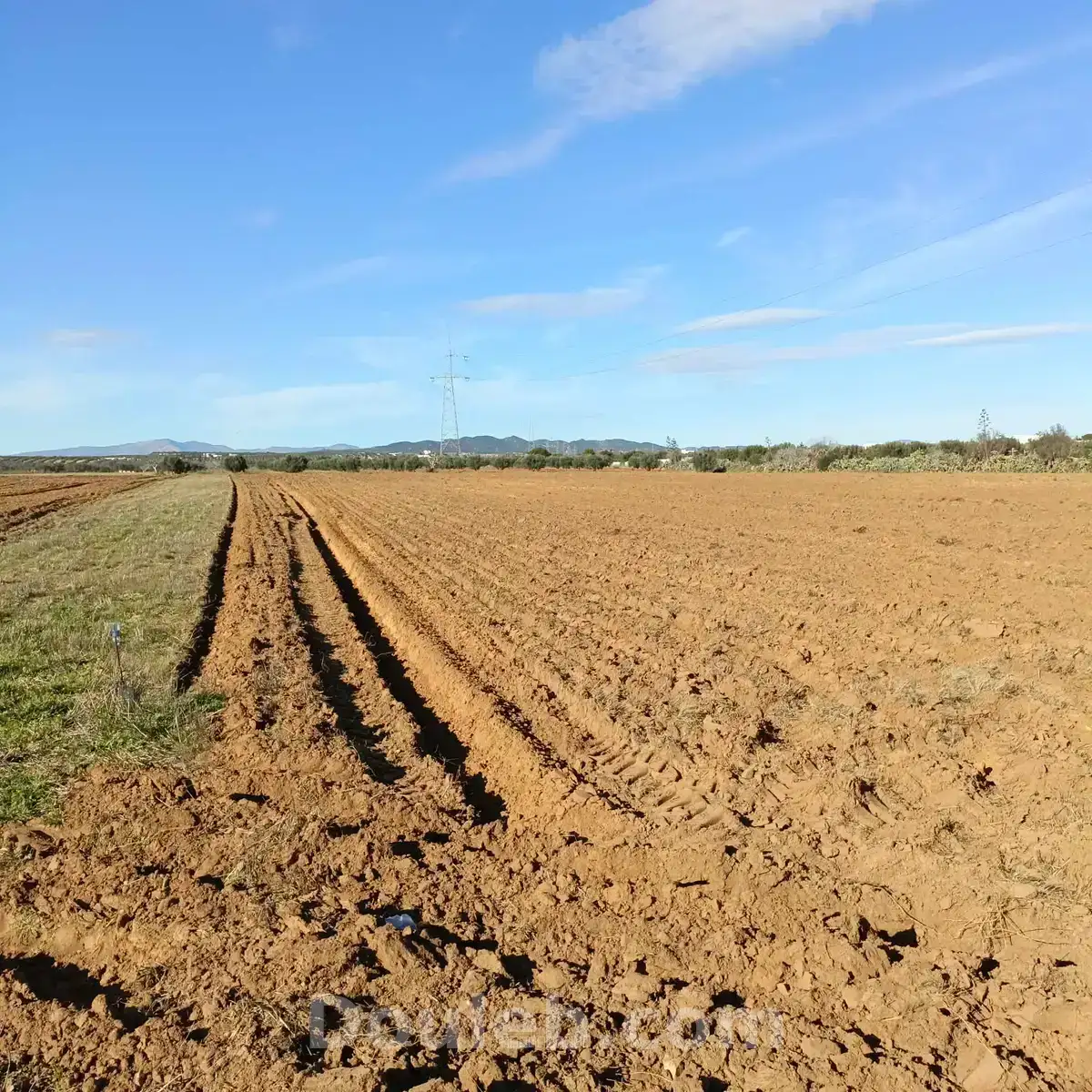 Av terrain 10500m sur la route à bouficha - Miniature 3