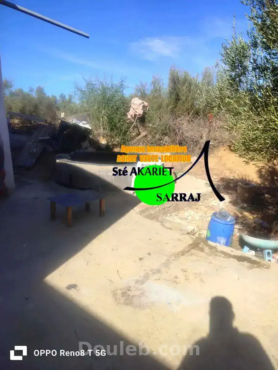 Senia clôturé 3300m à kalaa sghira oued laya - Miniature 5