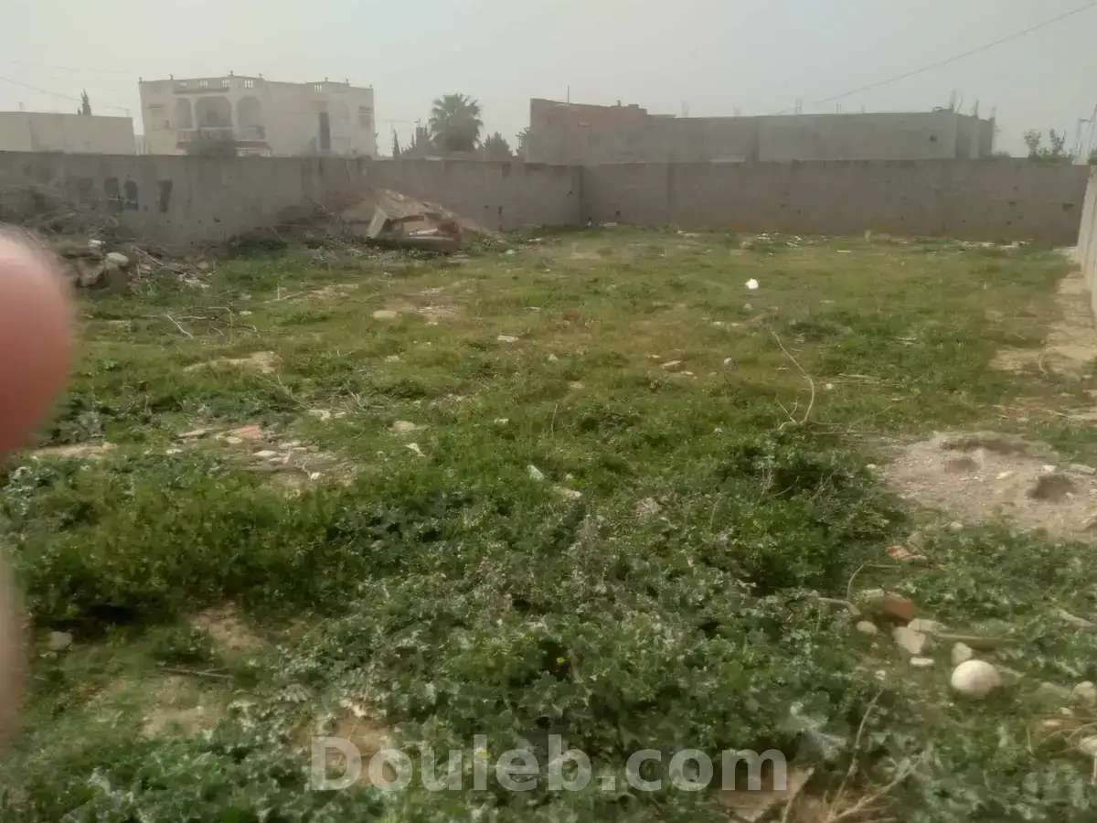 Bonne occasion - Miniature 2