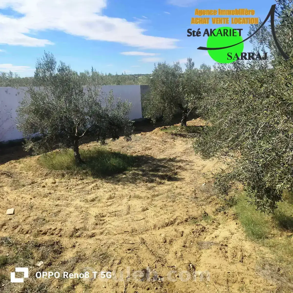 Très bon offre terrain clôturé 1000m à rmila - Miniature 2