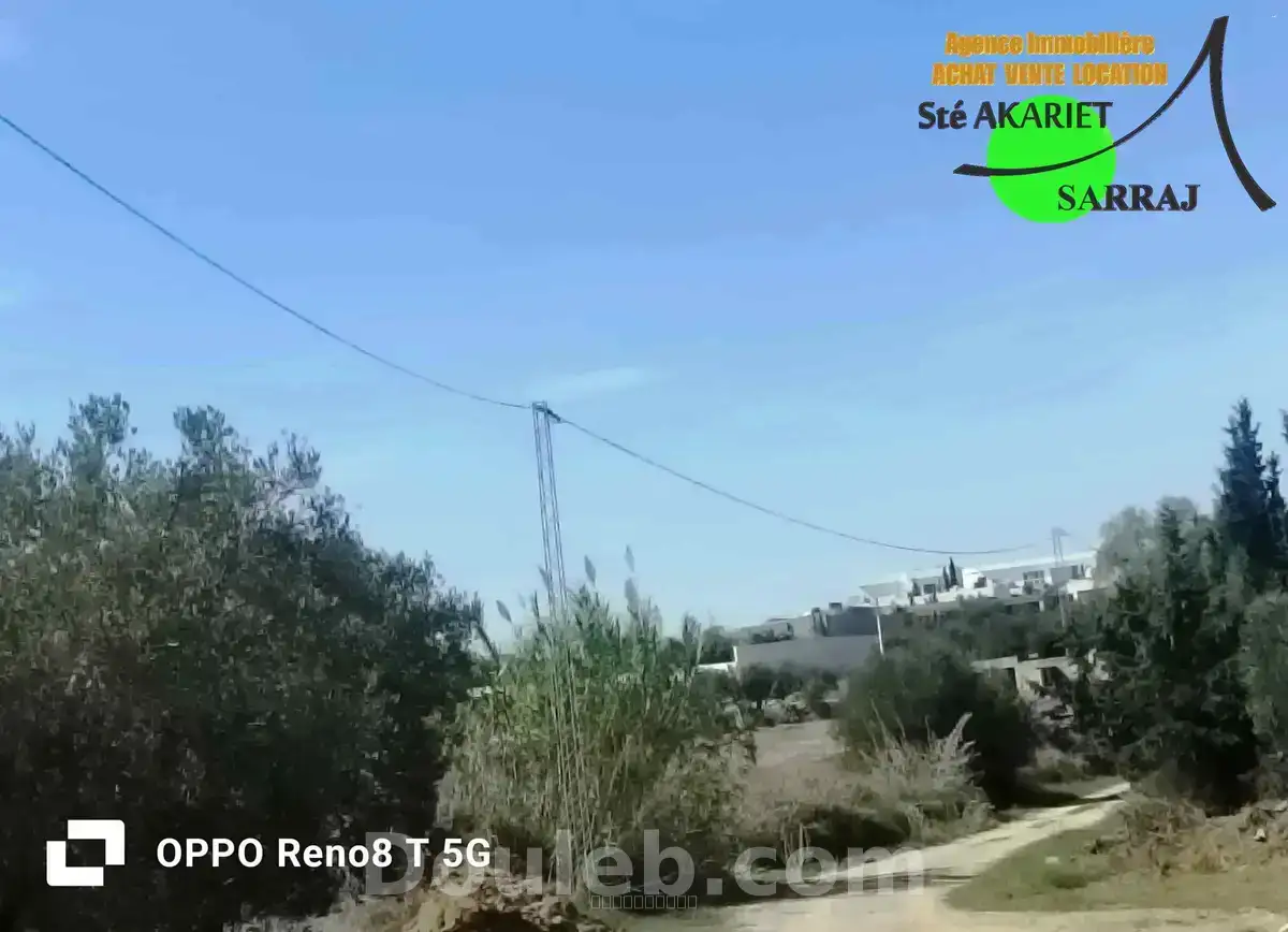 Très bon offre terrain clôturé 1000m à rmila - Miniature 3