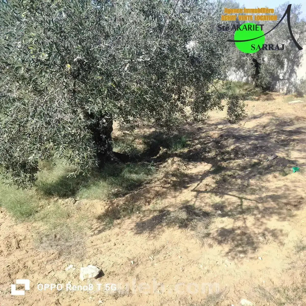 Très bon offre terrain clôturé 1000m à rmila - Miniature 4