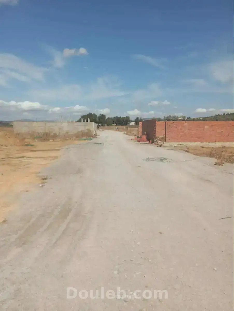 Av terrain de 240m pas loin de hammamet yasmine - Miniature 2