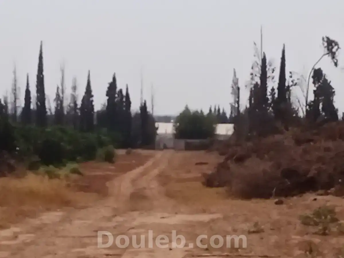 Terrain agréable - Miniature 2