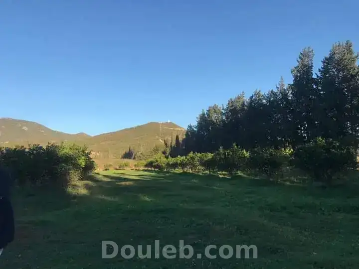 Terrain agréable - Miniature 3