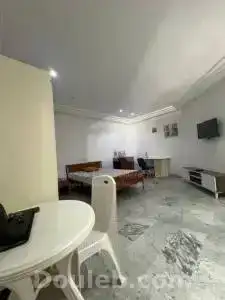 appartement s0 meubl situ ref896a - Miniature 5