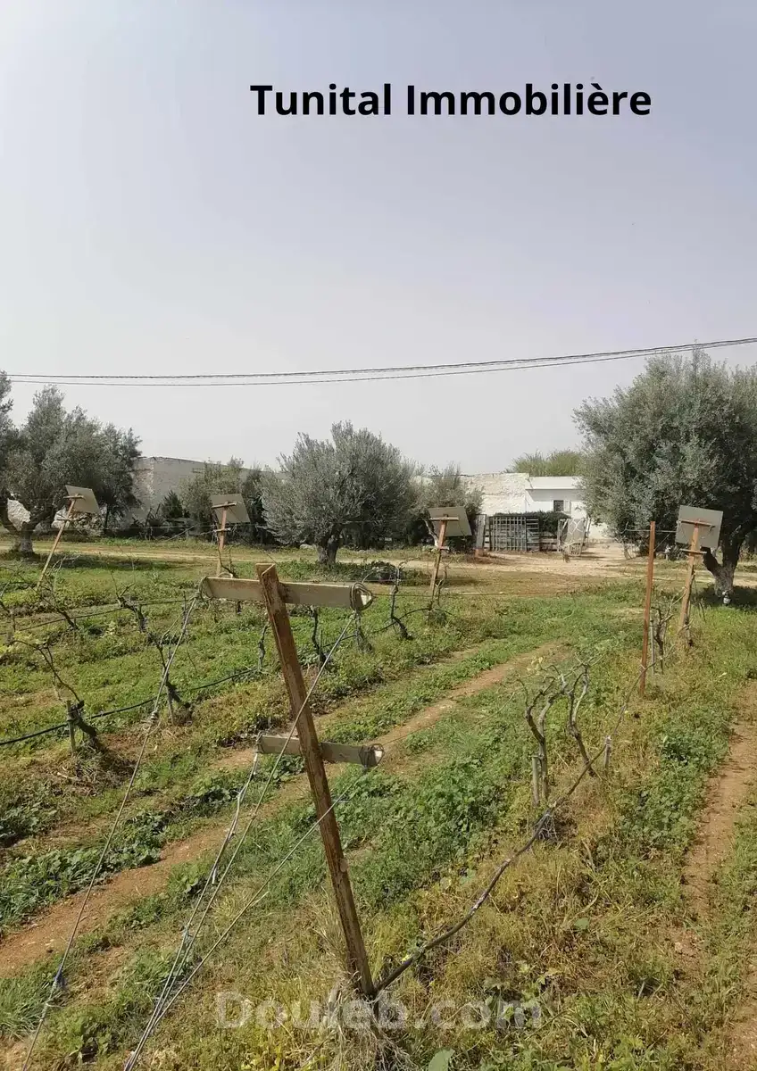 Ferme à manouba - Photo 1