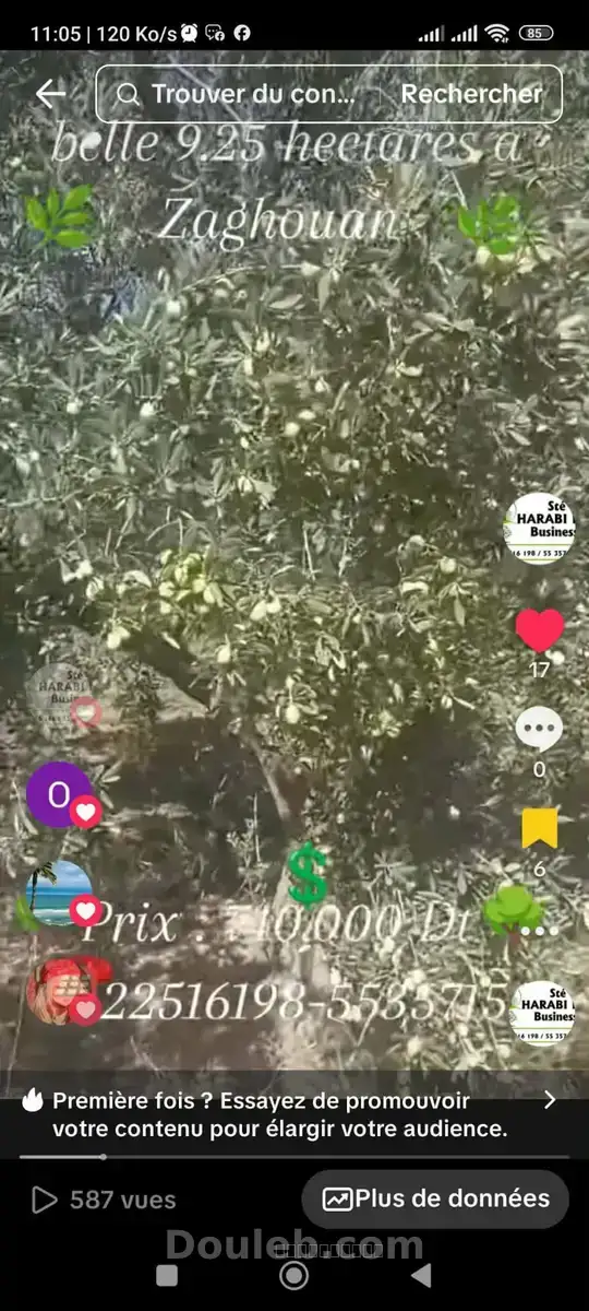 Magnifique ferme 9 hectares 2500m2 - Miniature 2