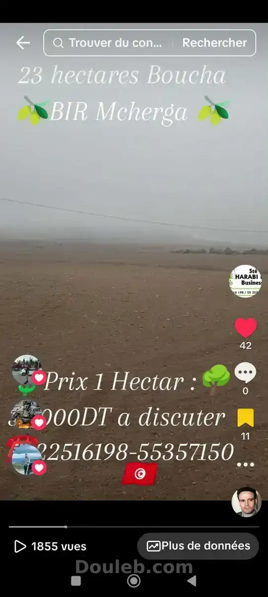 23 hectares excellentes sol fertile - Miniature 2