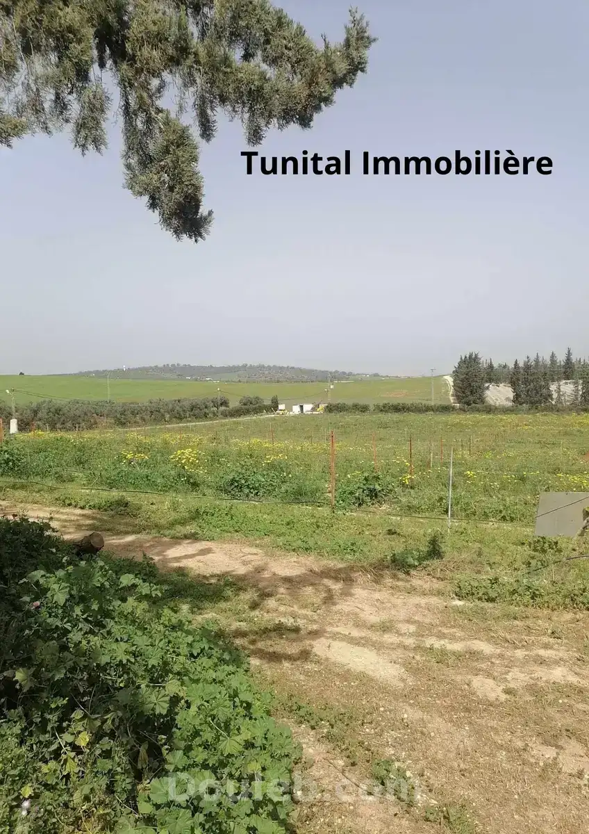 Ferme à manouba - Miniature 2