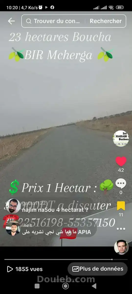 23 hectares excellentes sol fertile - Miniature 3