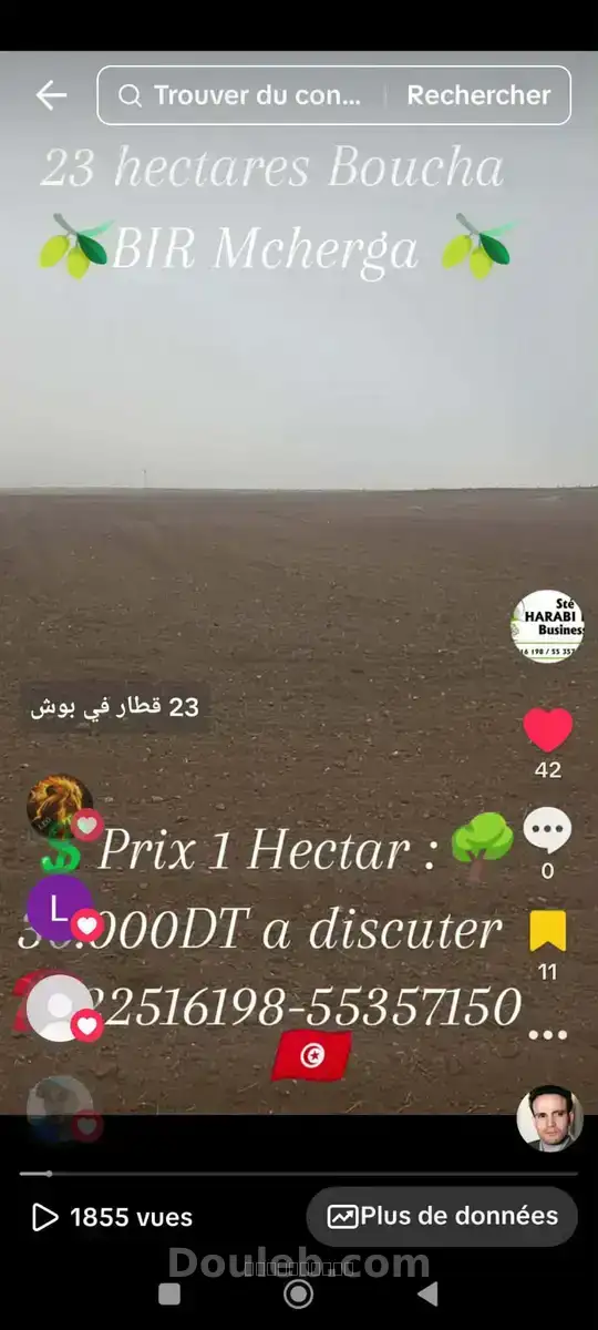 23 hectares excellentes sol fertile - Miniature 4