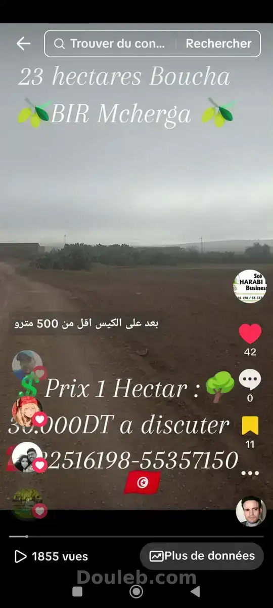 23 hectares excellentes sol fertile - Miniature 5