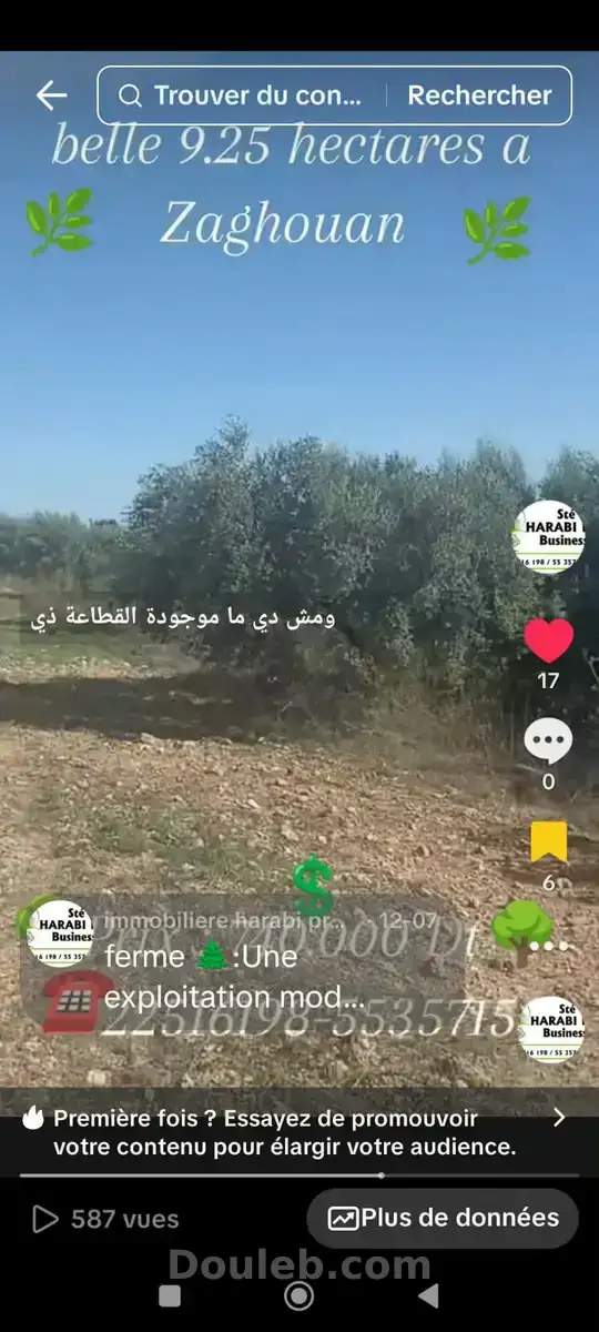 Magnifique ferme 9 hectares 2500m2 - Miniature 5